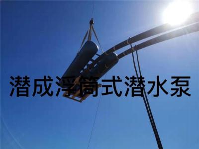 浮筒式潜水泵生产厂家天津潜成泵业