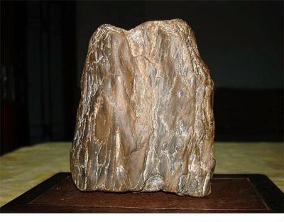 华豫之门24小电话微信鉴定 鉴定木化石