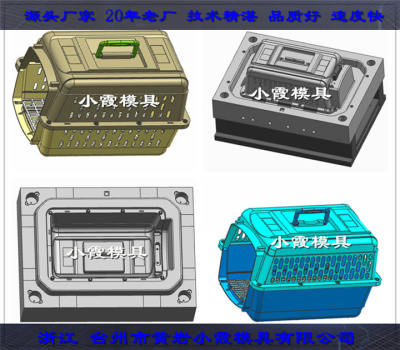 便携飞机托运笼塑胶模具