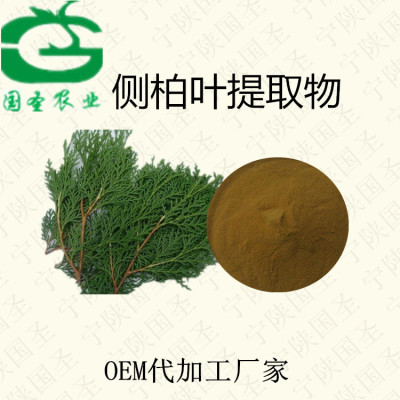 侧柏叶提取物粗提生产厂家