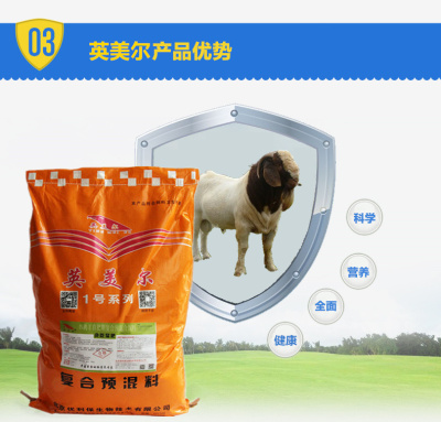 育肥羊的养殖方法 科学 合理的育肥羊方法