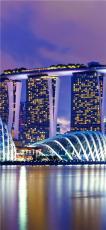 新加坡极致国际拍卖有限公司收费标准