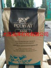 进口植物脂肪粉 棕榈脂肪粉 饲料添加剂