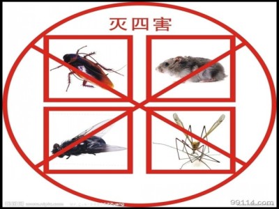 西安灭鼠公司 西安餐厅工厂学校灭鼠除蟑螂