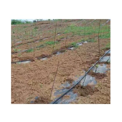 寧夏山上苗木澆樹滴灌設備批發商