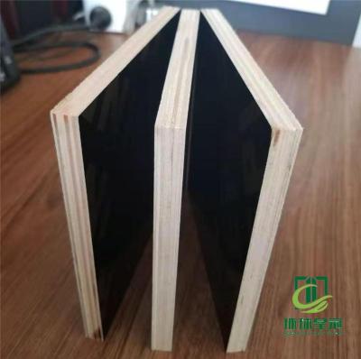 黑色杨木木模板 建筑模板胶合板 定制工厂