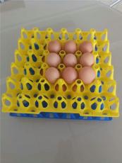 塑料蛋托 种鸡蛋托 塑料孵化蛋盘