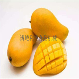 芒果加工设备 芒果清洗机 芒果酱生产设备