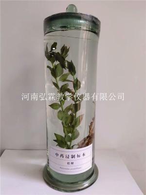 河南弘霖教学标本厂 瓶装植物浸制保色标本