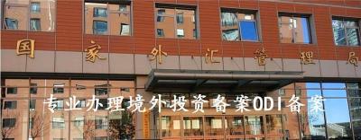 广东东莞ODI备案出资具体报价