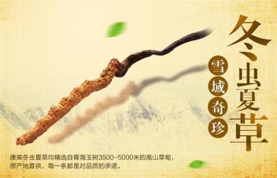 清远阳山专业回收极草冬虫夏草价格行情