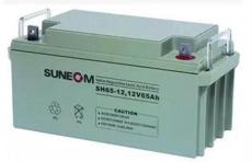 SUNEOM蓄电池授权应急系列直销应急使用