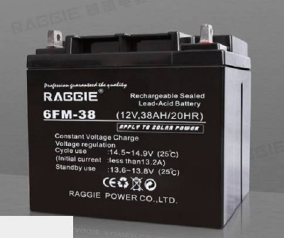 RAGGIE蓄电池6FM-6512V65AH原装报价供货商