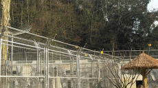 湖南脉冲电子围栏科技构筑的安全防卫网
