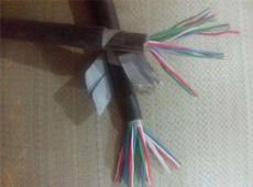 PTYA22信号电缆14芯价格