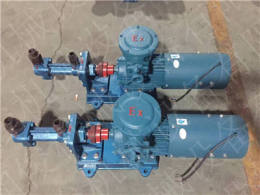 三螺杆泵3GR110X2W2锅炉燃油泵