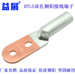 DTL2-50铜铝过渡双孔铜铝鼻-铜铝双孔堵油型