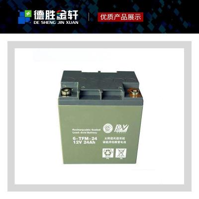 宝迪蓄电池6-GFM-100安防系统
