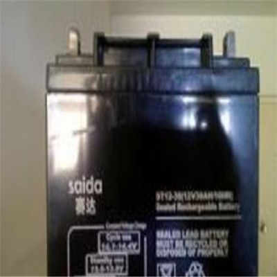 赛达蓄电池ST12-65 12V65AH自动装置