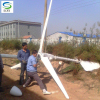宁津县晟成风电厂家供应500W风力发电机家用