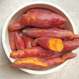 湛江西瓜红红薯 品质优 专业有机番薯批发