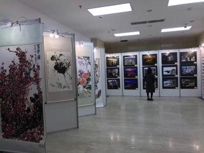 學校畢業(yè)展布置作品展板展覽出租哪家好