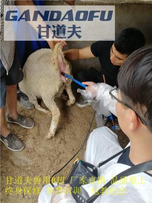 618猪牛羊动物B超厂家新报价优惠价格多少钱