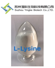 L-赖氨酸56-87-1 厂家直销