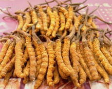 清遠馬年2.5l茅臺酒瓶回收30年茅臺酒回收