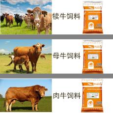 喂牛的最佳饲料配方牛每天的精料采食量计算