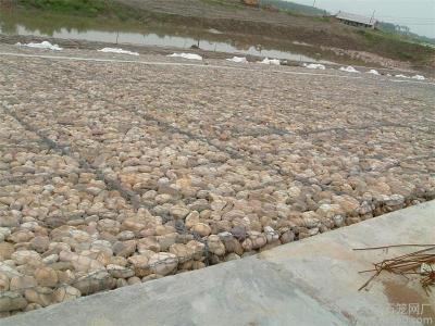 河道常用固滨笼的实体生产厂家