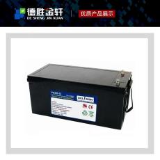 上海代理德力森蓄电池PK180-12铅酸电池