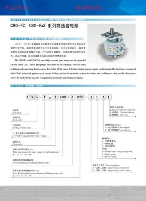 CBG-Fa2080/2080-B2BR四川長江液壓齒輪泵