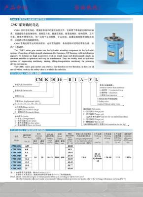 CMK1016-273L四川长江液压齿轮泵