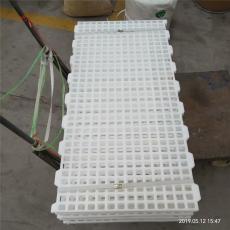 塑料鸡粪板种鸡漏粪板塑料鸡粪隔离板