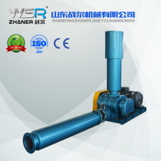 广东污水处理曝气机WSR-175罗茨真空泵选型