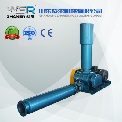 广东污水处理曝气机WSR-175罗茨真空泵选型