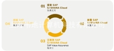 SAP S4HANA Cloud被评为全球ERP系统引导者