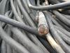 威海废旧电缆回收威海电缆回收价格行情