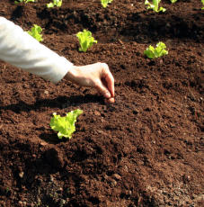 盐城园林种植土壤有机质含量总碱度检测