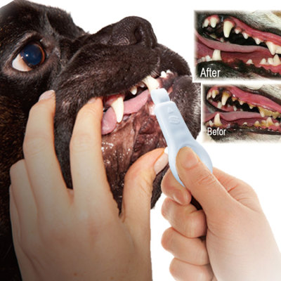 新型宠物用品 狗用洁牙擦 牙齿清洁护理 宠