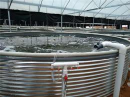 大中型圆形镀锌板帆布鱼池 简易养殖水池