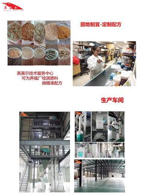 繁殖母牛饲料配方 完善繁殖母牛的营养