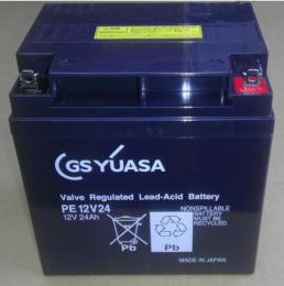 GSYUASA蓄电池PE12V12参数说明