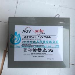 美國艾諾斯電池NP250-12/12V250AH 木箱包裝