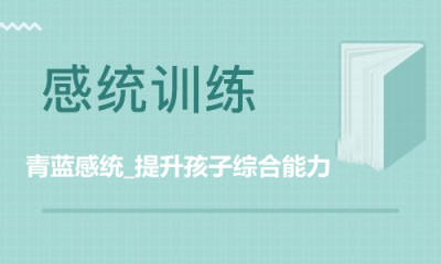 感统训练的黄金期 成都青蓝感统训练机构