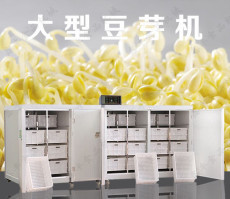 南阳小型豆芽机多少钱 自动恒温豆芽机