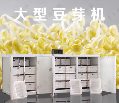 菏泽家用豆芽机的价格 全自动豆芽机控制器