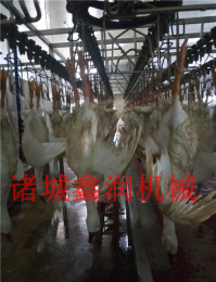 整套宰鴨流水線報(bào)價(jià)