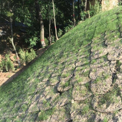 坡面种植植草固土护坡蜂巢土工格室河道护坡